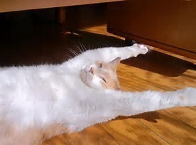 気持ちい.jpg